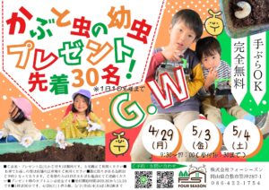 Read more about the article 【イベント】今年で５年目！GWカブトムシ幼虫プレゼント会😊