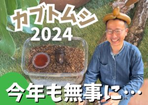 Read more about the article ２０２４年８月│カブトムシ達の新しいおうちが決まりました🏠