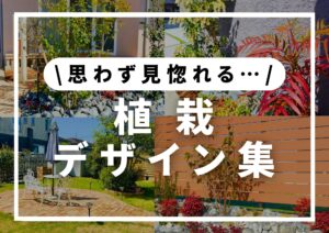 Read more about the article 植栽デザイン集│庭をおしゃれに彩るレイアウト│ガーデニング