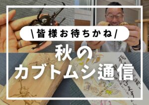 Read more about the article 2024年10月│秋のカブ通信│倉敷カブトムシおじさん