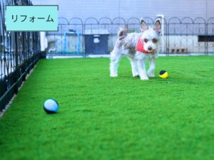 Read more about the article 愛犬と快適に遊べる│ドッグランお庭リフォーム施工例