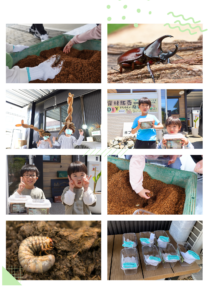 投稿についてもっと詳しく 【5/10・5/11】カブトムシの幼虫プレゼントイベント✨