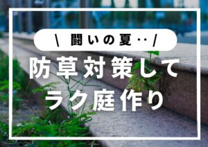 投稿についてもっと詳しく 夏は雑草との闘い！防草対策でラク庭作りしませんか？