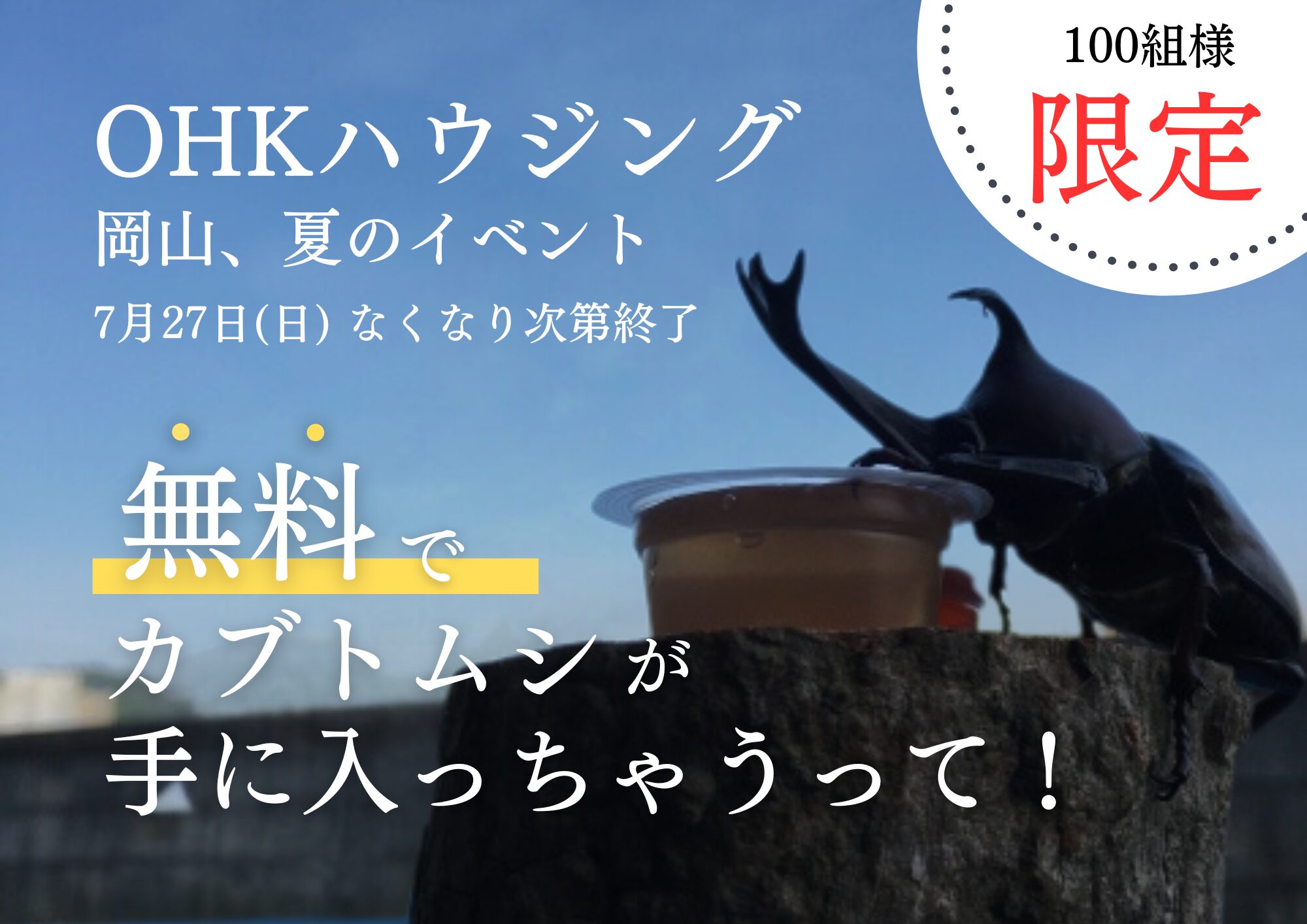 2025年7月27日・29日🍉カブトムシプレゼント会のお知らせ🎁 | 株式会社 2025年7月27日・29日🍉カブトムシプレゼント会のお知らせ🎁 | 株式会社