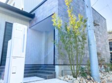 {{brizy_dc_image_alt entityId=